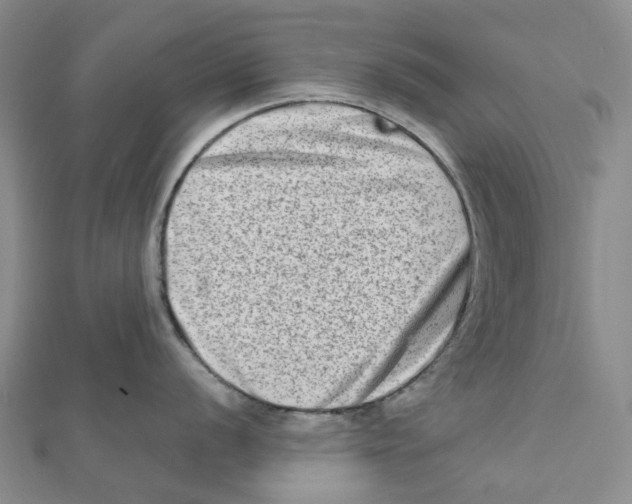 X0000111791056200908201128