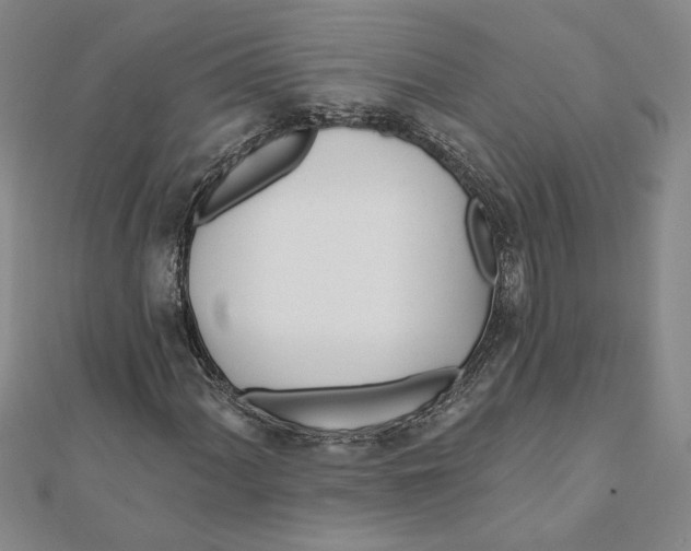 X0000111791060200908201127