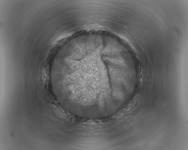 X0000111791063200908201127