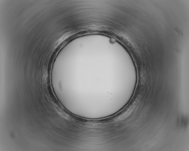 X0000111791065200908201127