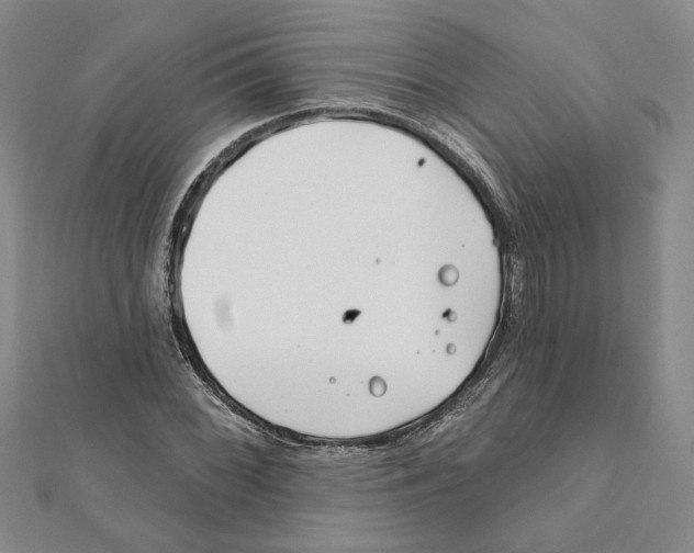 X0000111791068200908201127