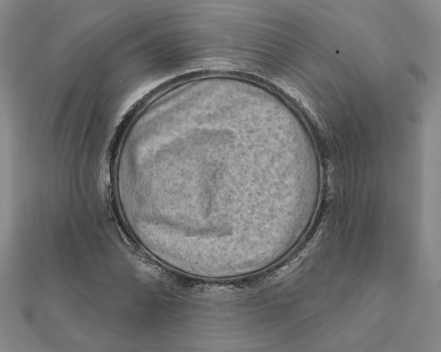 X0000111791070200908201127