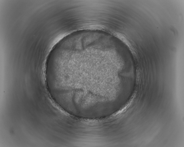 X0000111791071200908201127