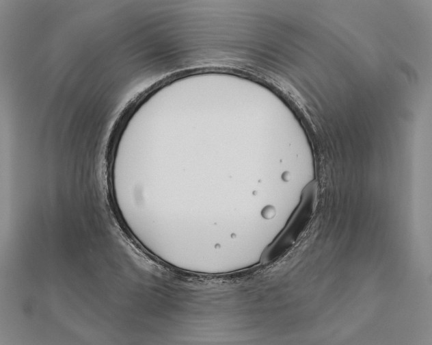 X0000111791072200908201127