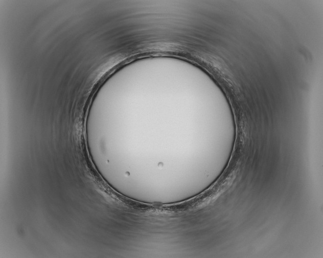 X0000111791073200908201127