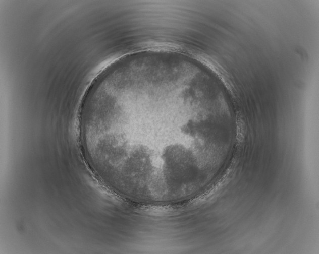 X0000111791074200908201127