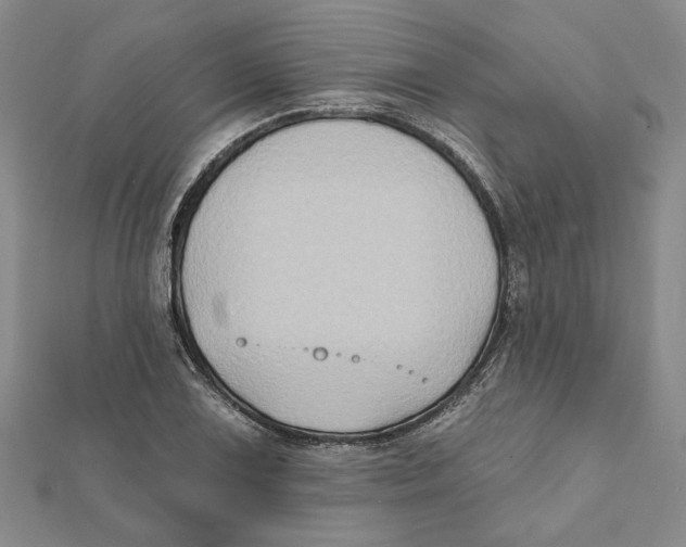 X0000111791075200908201127