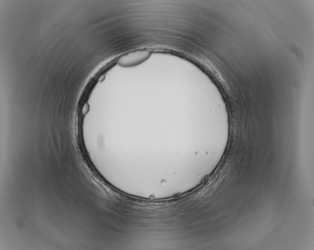 X0000111791076200908201127