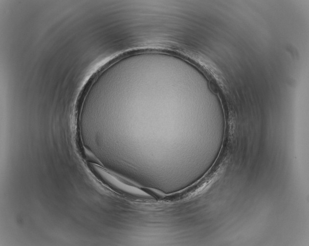 X0000111791077200908201127