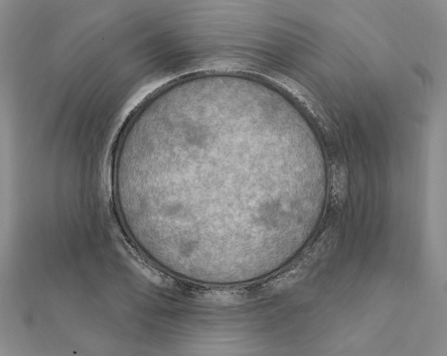 X0000111791078200908201127