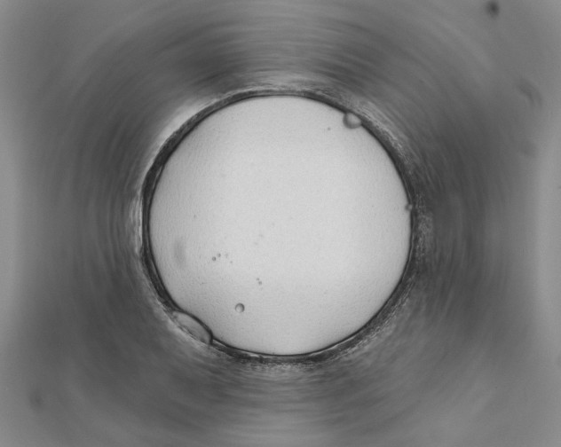 X0000111791079200908201127