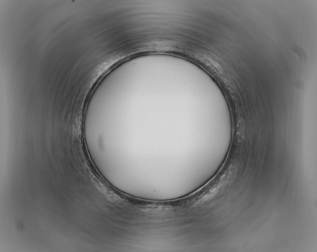 X0000111791081200908201127