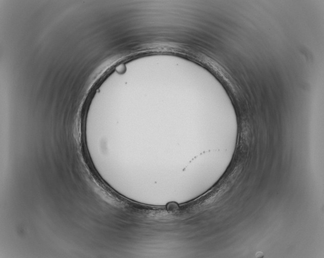 X0000111791082200908201127