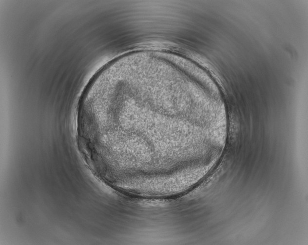 X0000111791083200908201127