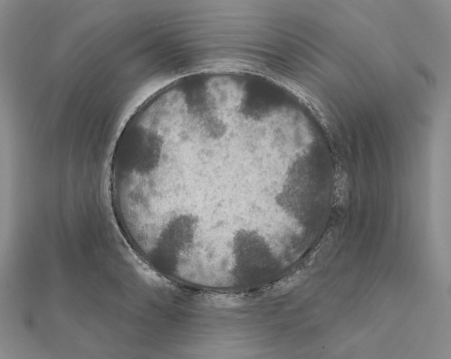 X0000111791086200908201127