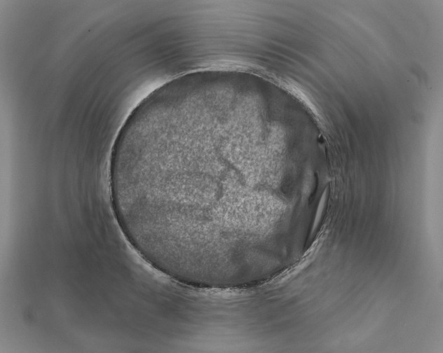 X0000111791087200908201127