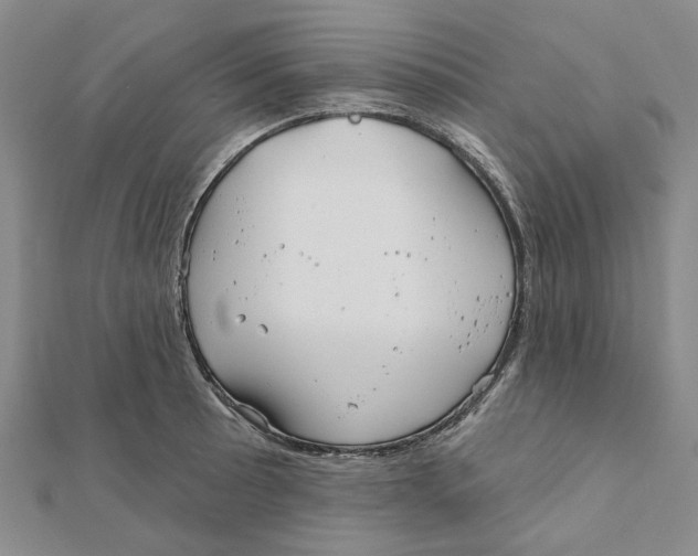 X0000111791089200908201127