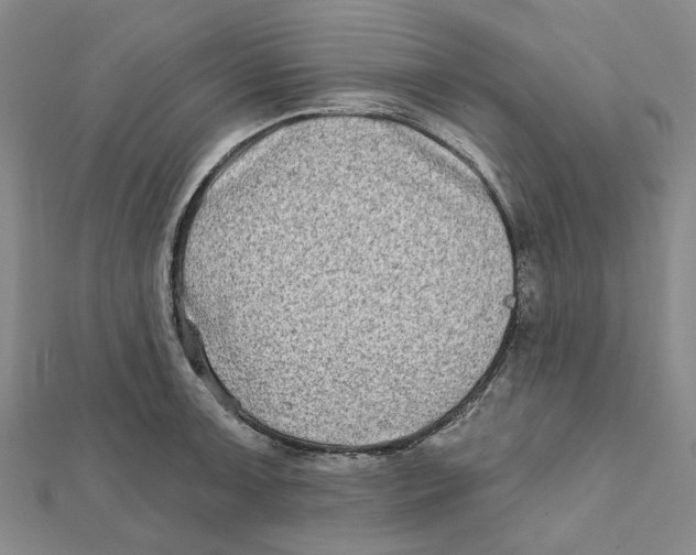 X0000111791091200908201127