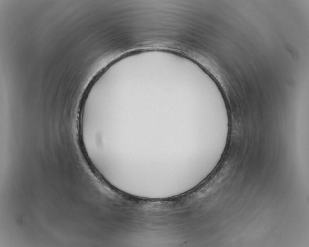 X0000111791093200908201126