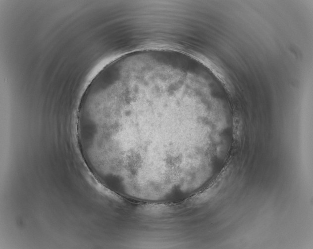 X0000111791094200908201126