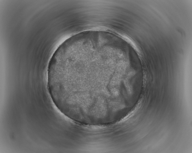 X0000111791095200908201126