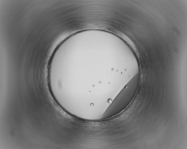 X0000111791096200908201126