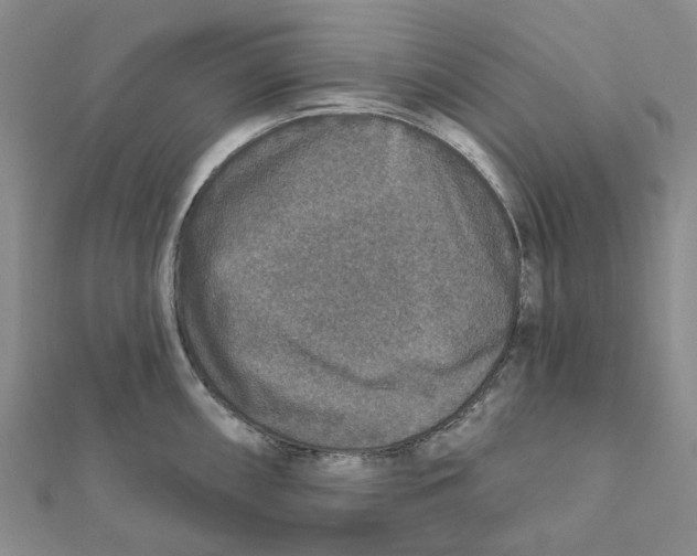 X0000111791098200908201126