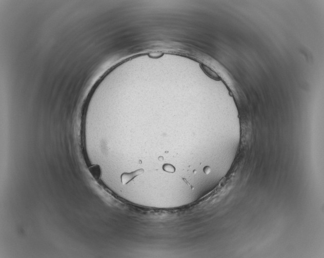 X0000111791099200908201126