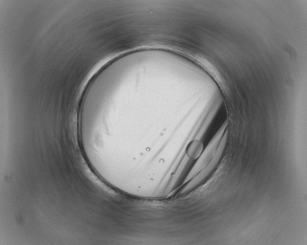 X0000111791100200908201126