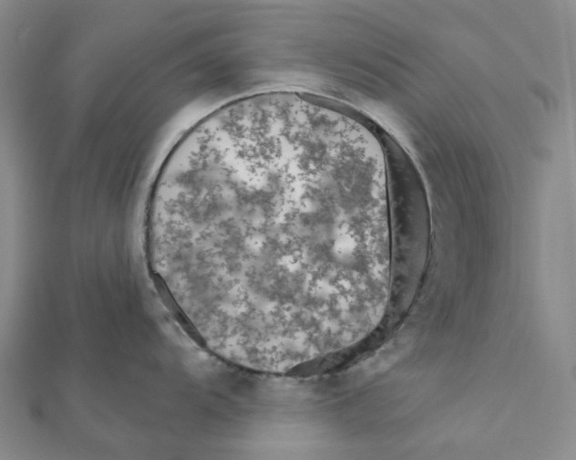 X0000111791104200908201126