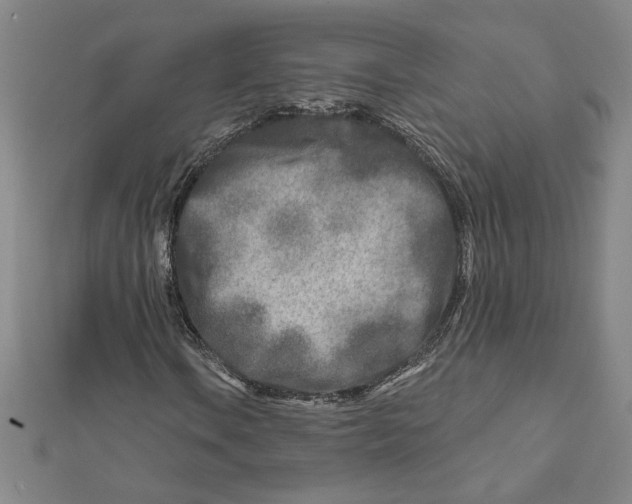 X0000111791106200908201126