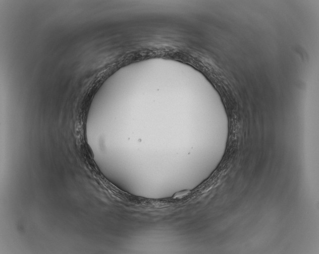 X0000111791109200908201126