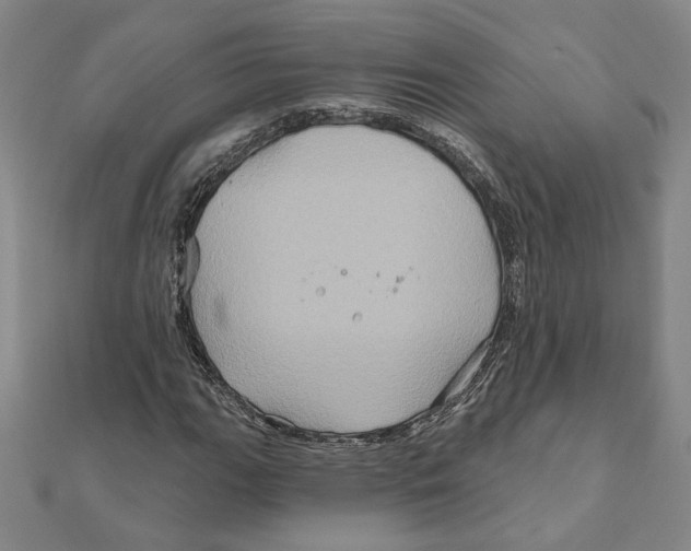 X0000111791111200908201126