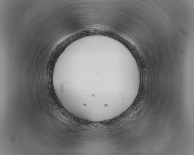 X0000111791112200908201126