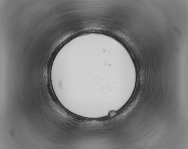 X0000111791113200908201126