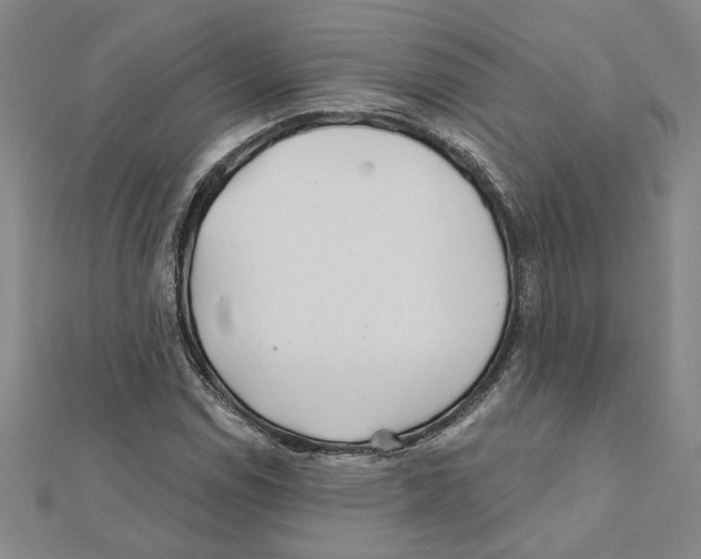 X0000111791114200908201126