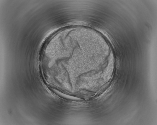 X0000111791115200908201126