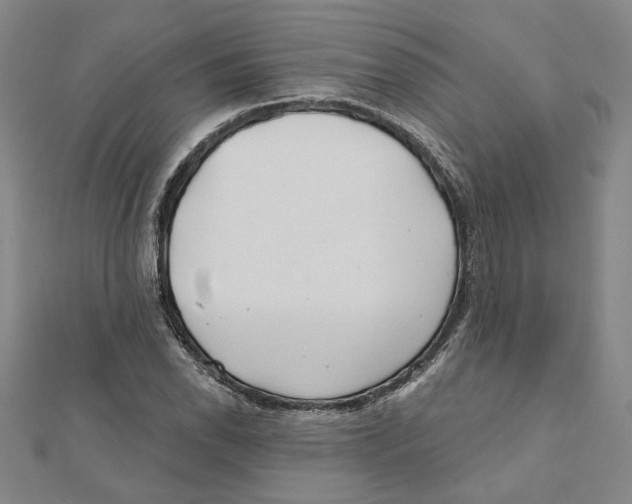 X0000111791118200908201126