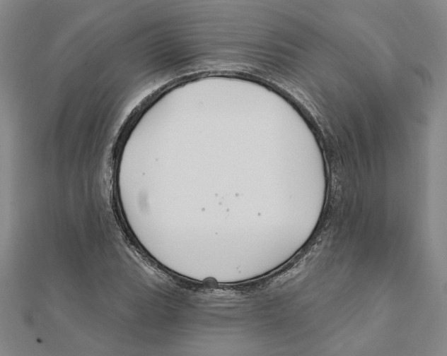 X0000111791119200908201126