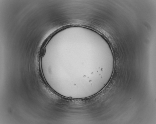 X0000111791120200908201126