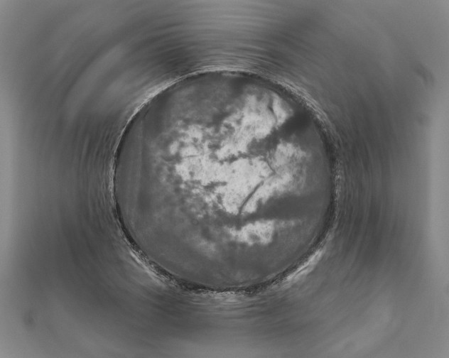 X0000111791121200908201126