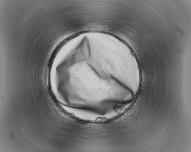 X0000111791123200908201126