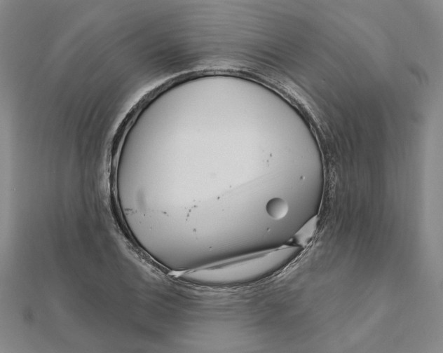 X0000111791124200908201126