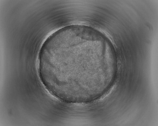 X0000111791125200908201126