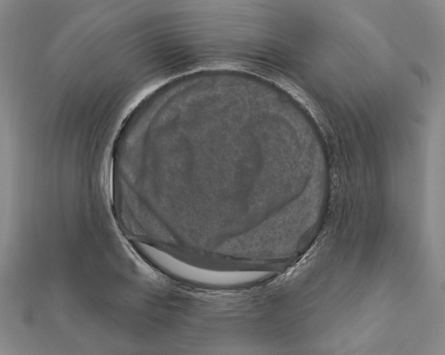 X0000111791127200908201126