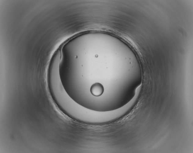 X0000111791128200908201126