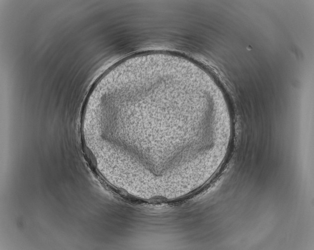 X0000111791129200908201126