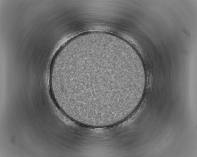 X0000111791130200908201126