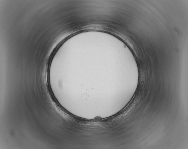 X0000111791131200908201126