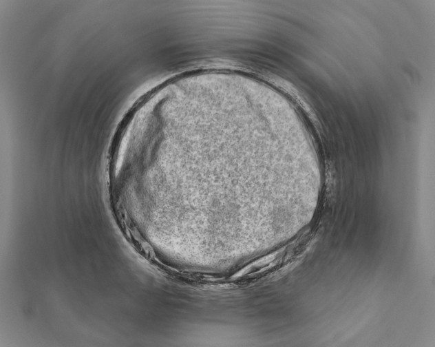 X0000111791133200908201126